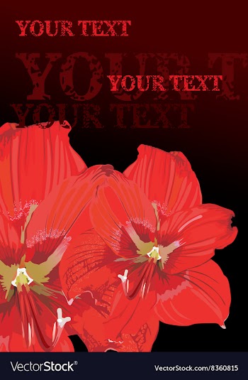 Red Lily Design with Text Space vector image