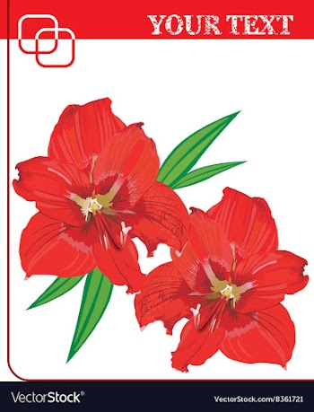 Red Lily Design with Text Space vector image