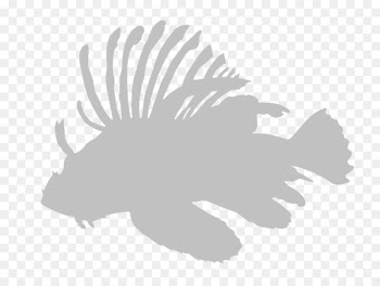 Red lionfish AIS Indonesia Fairfield Mammal Login - invasive species signs 