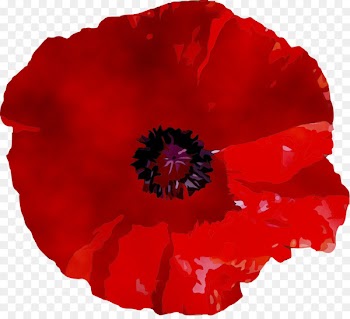 RED.M -  