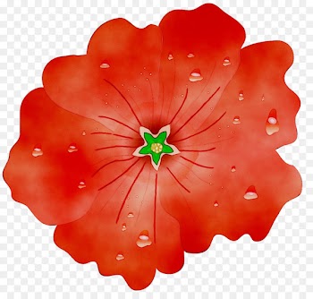 RED.M -  