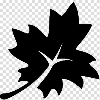 Red maple Computer Icons Autumn Maple leaf, maple leaf transparent background PNG clipart