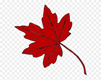 Red Maple Leaf Clip Art At Clker - Maple Holistics Sage Shampoo For Anti Dandruff