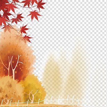 Red maple Maple leaf Euclidean , Beautiful maple leaves transparent background PNG clipart