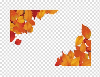 Red maple Maple leaf Euclidean , Red maple leaf diagonally border transparent background PNG clipart