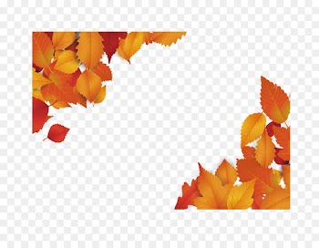 Red maple Maple leaf Petal Euclidean vector - leaf 