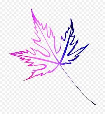 Red maple Maple leaf Tree Design -  