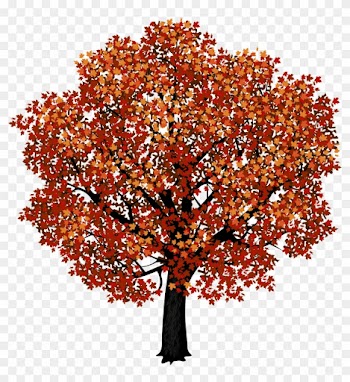 Red Maple Tree Png Clipart Picture - Autumn Maple Tree Png
