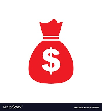 red money bag solid icon