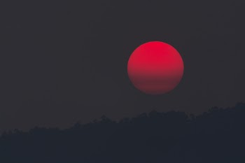 Red Moon during Night Time