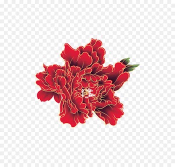 Red Moutan peony - Color peony States 