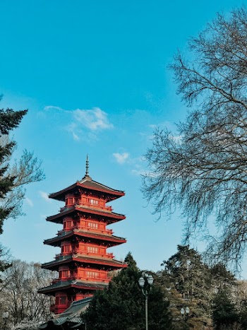 Red Multi-storey Building