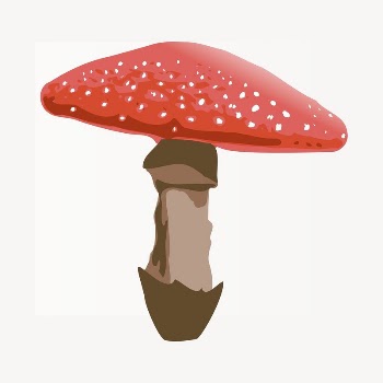 Red mushroom sticker, vegetable illustration | Free PSD - rawpixel