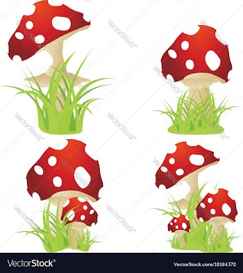 Red Mushroom with Grass vector image