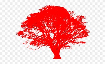 Red Oak Sillhoute Clip Art At Clker - Oak Tree Clip Art Black And White