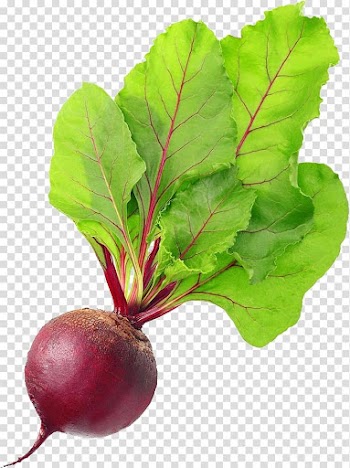 Red onion illustration, Chard Beetroot Vegetable Food Vegetarian cuisine, Beet transparent background PNG clipart