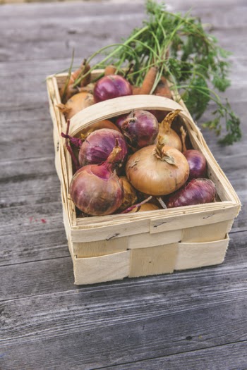 Red Onion on Rectangular Basket