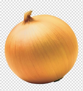 Red onion Yellow onion White onion Sweet onion, onion transparent background PNG clipart
