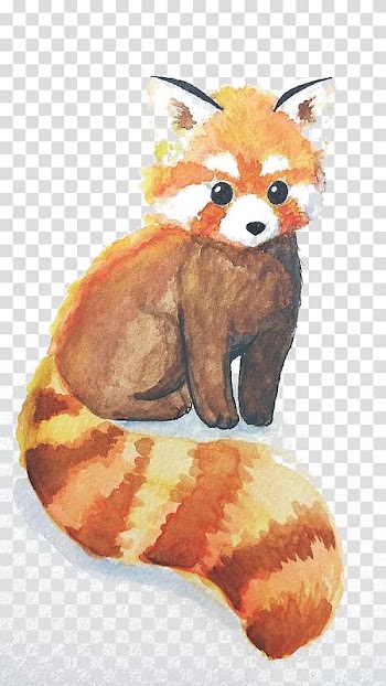 Red panda painting, Red panda The Giant Panda Bear Drawing, Watercolor small raccoon transparent background PNG clipart