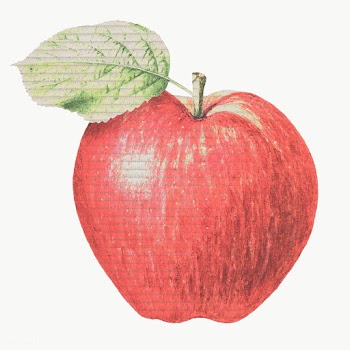 Red paper textured apple illustration design element  | Free  transparent png - 2336943