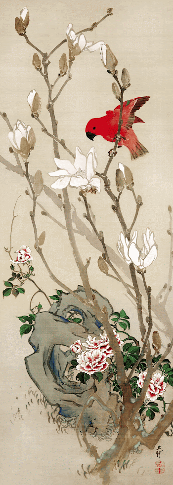 Red parakeet (1830s) vintage Japanese | Free Photo Illustration - rawpixel