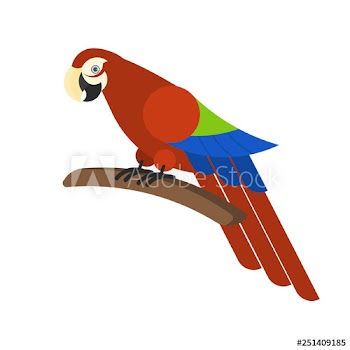 Red parrot