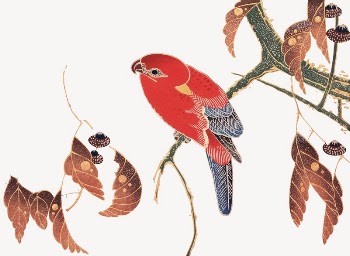 Red parrot collage element, Ito | Free PSD Illustration - rawpixel