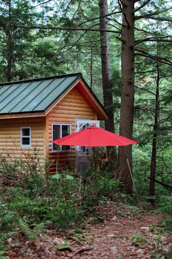 Red Patio Umbrella In Front Of A Small Cabin In The Woods