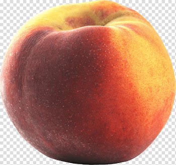 Red peach fruit, Large Peach transparent background PNG clipart