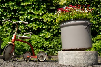 Red Pedal Trike Beside Container With Flowers