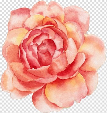 Red peony flower illustration, Calendar Flower Printing Canvas print, Orange flowers transparent background PNG clipart