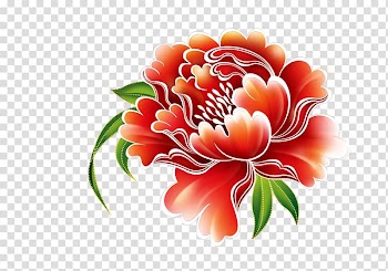 Red peony flower illustration, Moutan peony Blue, Peony transparent background PNG clipart