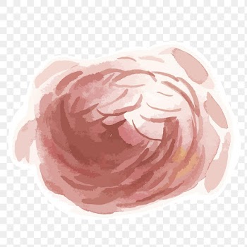 Red peony flower transparent png watercolor sticker
