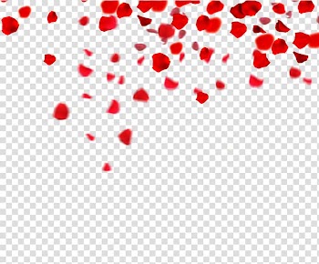 Red petal flower, Petal If(we) , Rose petals floating material transparent background PNG clipart