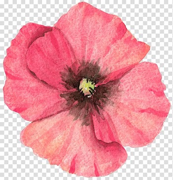 Red petaled flower, Flower Watercolor painting, Water Painted flowers transparent background PNG clipart