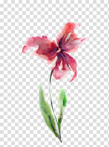 Red petaled flower illustration, Watercolour Flowers Watercolor: Flowers Watercolor painting Drawing, Free watercolor hand-painted flowers pull material transparent background PNG clipart