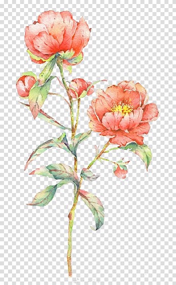 Red petaled flower illustration, Watercolour Flowers Watercolor: Flowers Watercolor painting, Watercolor flowers transparent background PNG clipart