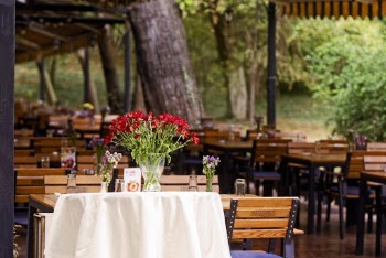 Red Petaled Flowers on Table