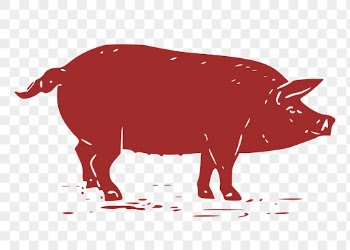 Red pig png, vintage farm | Free PNG Illustration - rawpixel