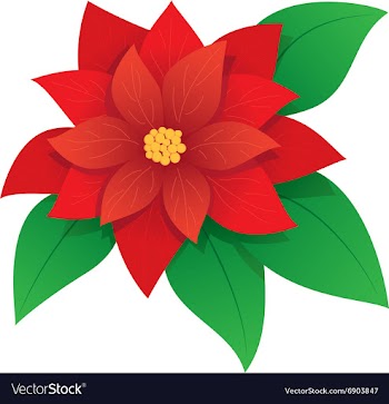 Red poinsettia vector image