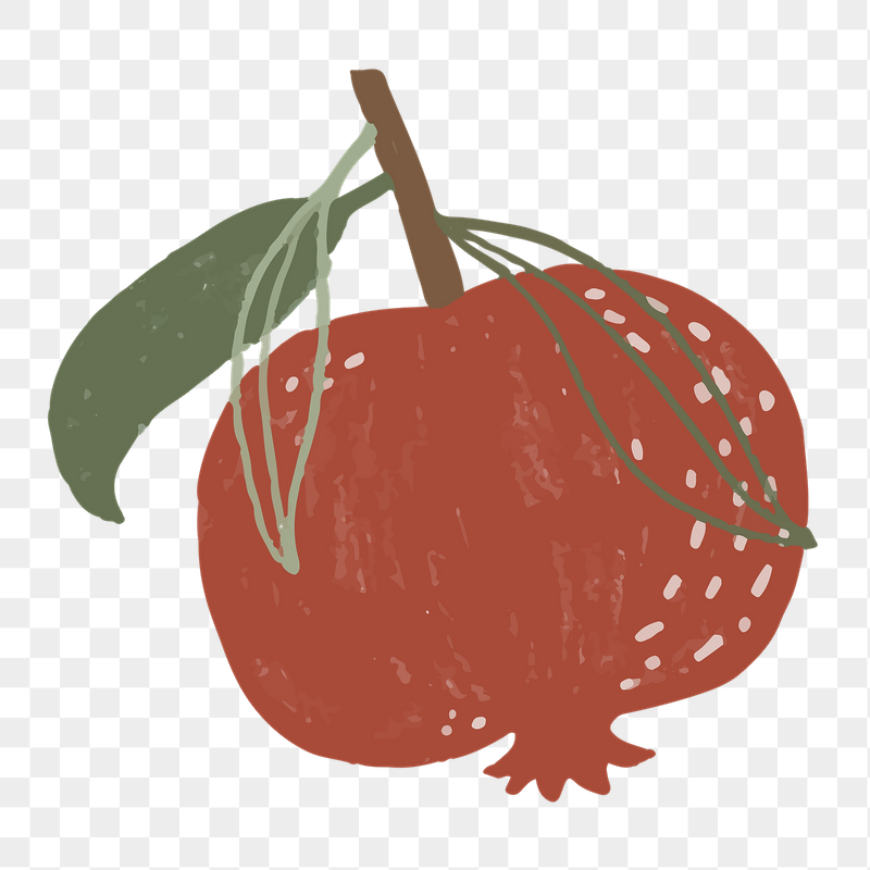 Red pomegranate png doodle sticker, | Free PNG - rawpixel