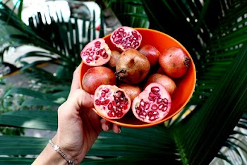 Red Pomegranates