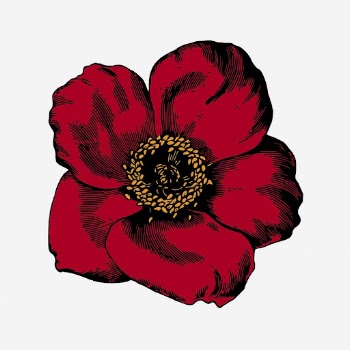 Red poppy flower clipart, vintage | Free Photo - rawpixel