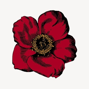 Red poppy flower clipart, vintage | Free Vector - rawpixel