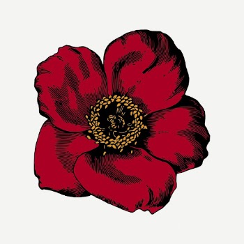 Red poppy flower collage element, | Free PSD - rawpixel