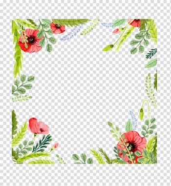 Red poppy flower illustration, Wedding invitation Watercolor painting Flower, Floral watercolor background transparent background PNG clipart
