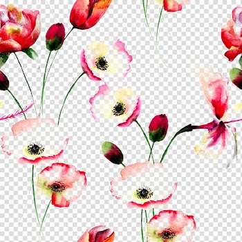 Red poppy flowers illustration, Poppy Flowers Watercolor painting Floral design, Beautiful watercolor flowers background transparent background PNG clipart