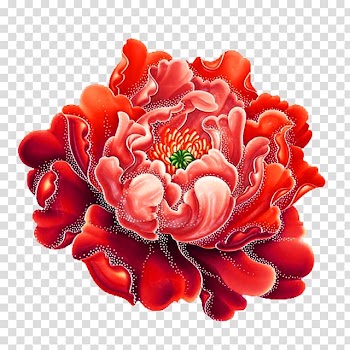 Red poppy illustration, Moutan peony , peony transparent background PNG clipart