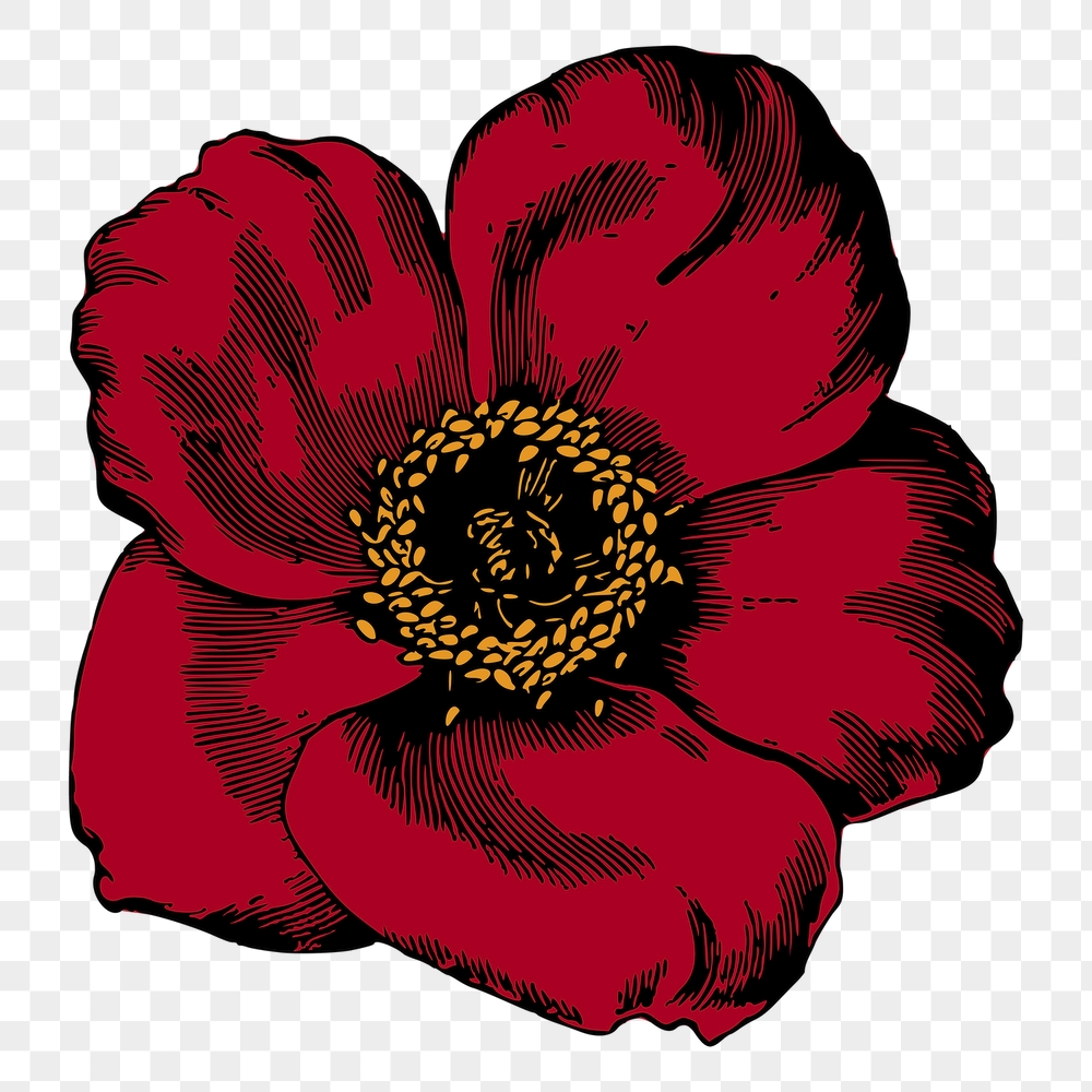 Red poppy png flower sticker, | Free PNG - rawpixel