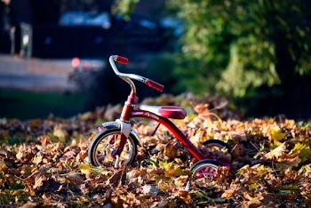 red Radio Flyer trike on brown dried leaves